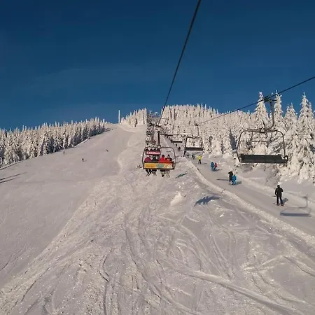 Bile Labe 8 Apartment Spindleruv Mlyn